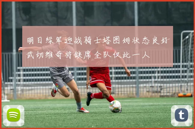 明日绿军迎战骑士塔图姆状态良好武切维奇将缺席全队仅此一人