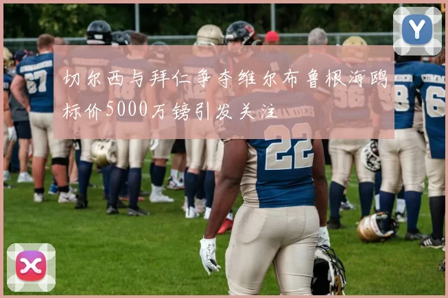切尔西与拜仁争夺维尔布鲁根海鸥标价5000万镑引发关注